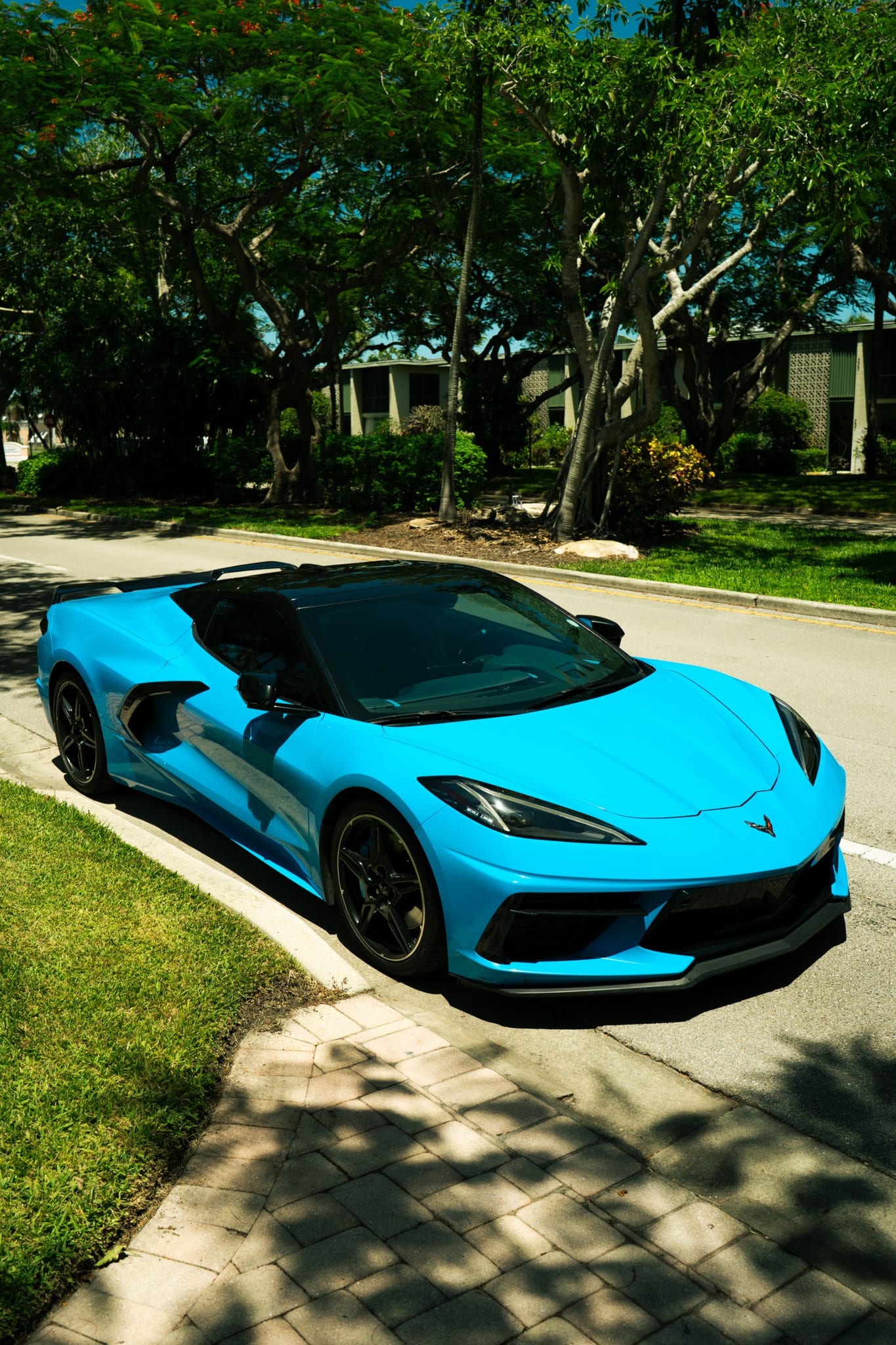South Florida Exotics